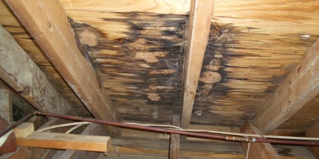 roofing-repair-interior-roof-leak Roofing Repairs And Roof Leak Mold On Plywood