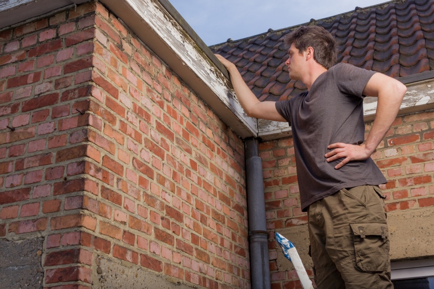 DIY roof inspection