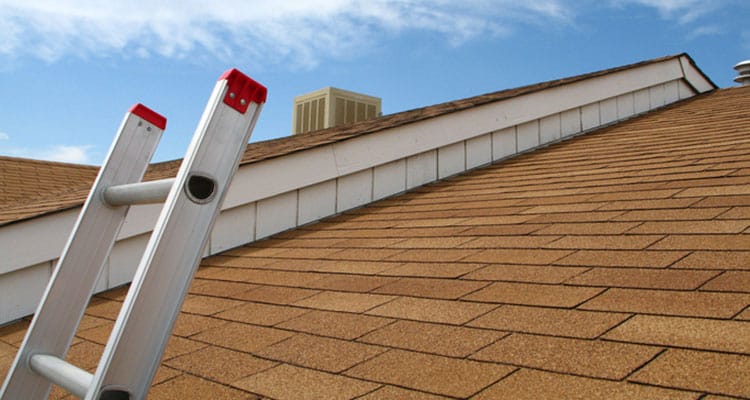 Ladder View of Roof Due For Inspection