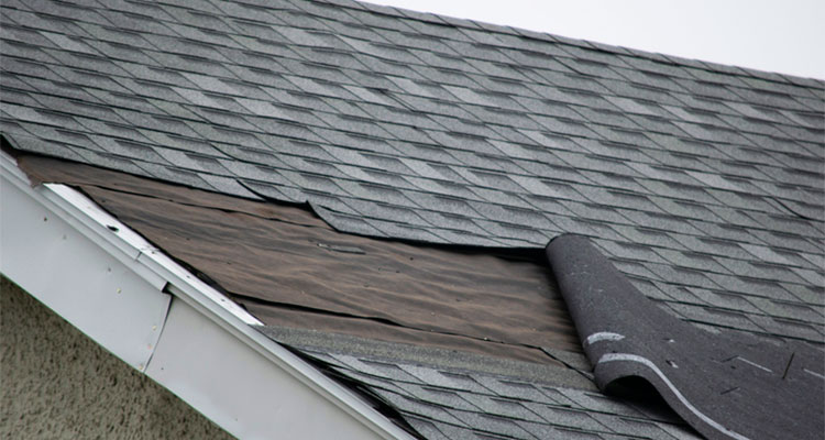 Closeup of Shingle Blown Back on Roof that needs Roof Leak Repair in Pleasant Ridge MI