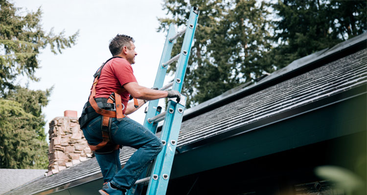 roofing-contractor-eastpointe-mi Roofing Contractor in Eastpointe MI
